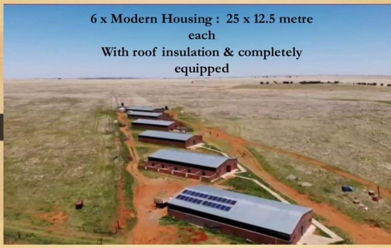 Commercial Property for Sale in Dealesville Free State